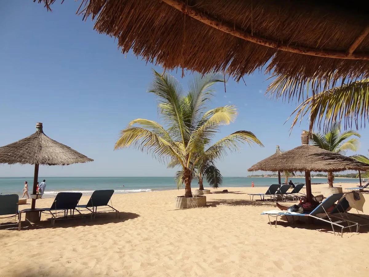 Saly